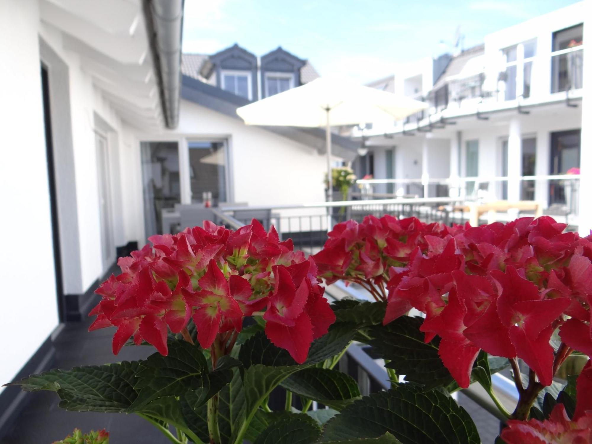 Ferienapartments Am Steinfelder Hof Bad Neuenahr-Ahrweiler Quarto foto